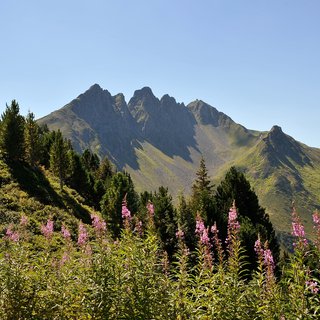 View of the Kellerjoch | © Erste Ferienregion im Zillertal/Wörgötter&friends