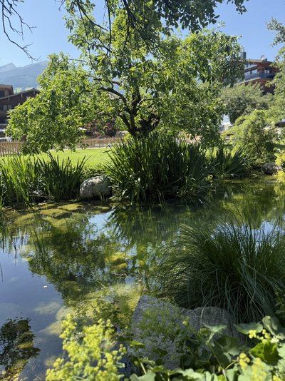 Teich Hotel Standlhof