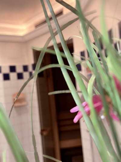 Sports SPA Hotel Standlhof