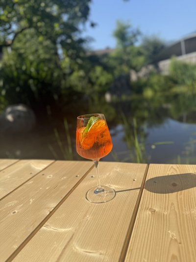 Aperol am Teich Standlhof Garten