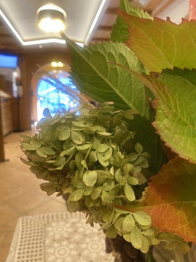 Eingangsbereich im Hotel Standlhof