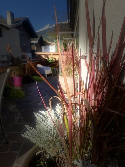 Blumenpracht auf der Terrasse im Hotel Standlhof