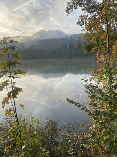 Morgenlauf Reintaler See 