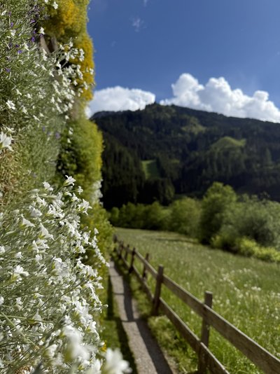 Laufrunde Wiese